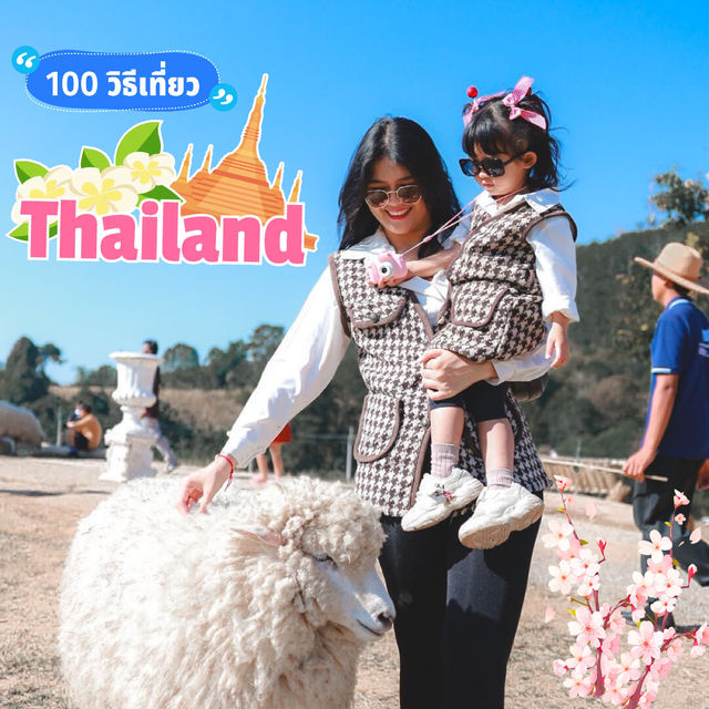 ม่อนแกะเขาค้อในช่วงหน้าหนาว... แค่คิดถึงก็รู้สึก