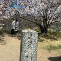 Komoro Kaikoen Park, Nagano