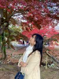 Top Tips for a Perfect Nara Park Adventure