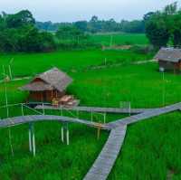 ที่ปลายนาตากับยาย อุทัยธานี