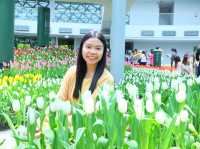  Miracle of Natural สวนทิวลิป ระยอง