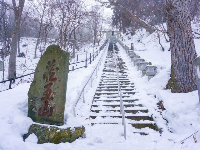 冬日仙境：山形藏王樹冰