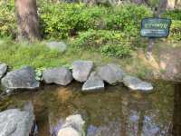 Namsan Vibes: Hike, Snap, Explore!