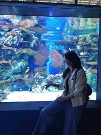 ไปดูปลาที่พิพิธภัณฑ์สัตว์น้ำเซี่ยงไฮ้กัน 🐠