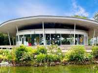 🌿 Escape to Nature: A Perfect Day at Jurong Lake Gardens, Singapore  