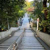 🇯🇵【大阪】平安時代の古文書にも記述が残る由緒正しい神社！伊射奈岐神社⛩️