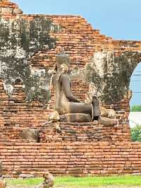 📍泰國北標府Lopburi。三峰塔廟｜ 這是猴子才是主人，我們只是過客