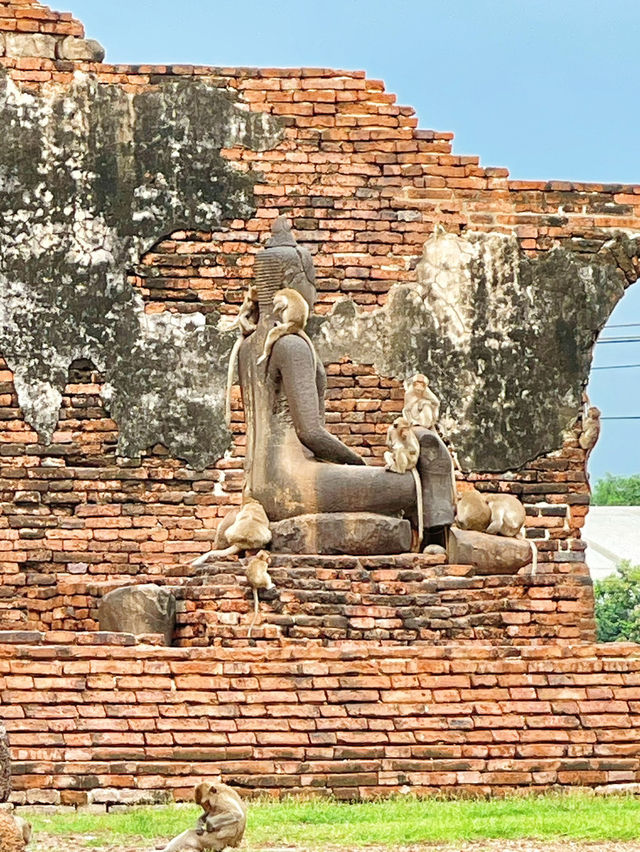 📍泰國北標府Lopburi。三峰塔廟｜ 這是猴子才是主人，我們只是過客
