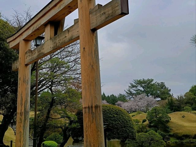 熊本小旅行 車站樓上的JA合作食堂超推
