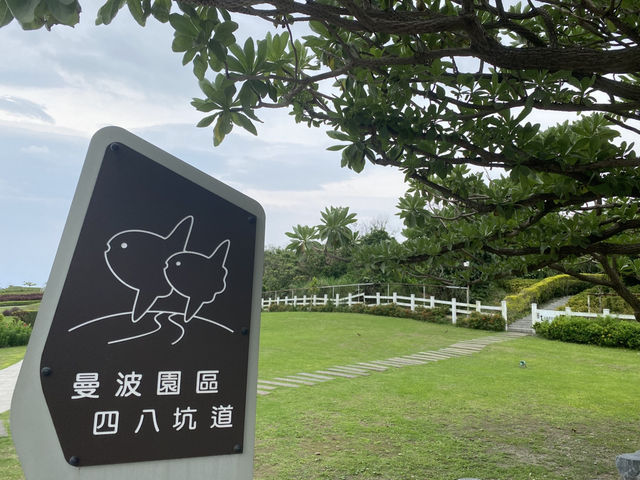 曼波園區 四八坑道  花蓮七星潭 