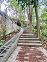 城市中的⛰️陽台山森林公園✨體驗自然風光行程推薦🏞️ 
