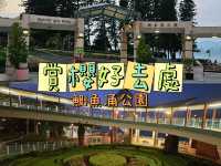 🌸鰂魚涌公園的驚喜🌸