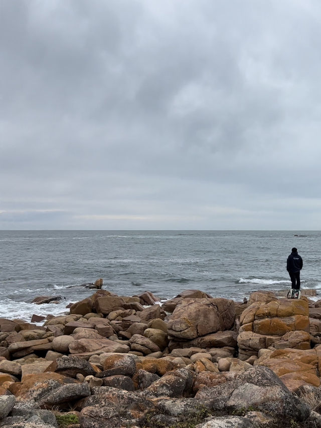 🦭Seal-iously Unexpected Encounters at Basham Beach 🦭