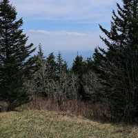 Clingmans Dome – Great Smoky Mountains, TN