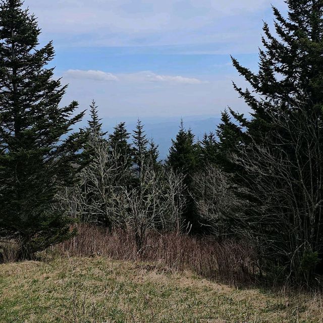 Clingmans Dome – Great Smoky Mountains, TN