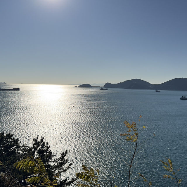 🇰🇷釜山 ｜需要安靜參觀的海邊景點🤫白淺灘