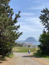 내멋대로 제주 3박4일