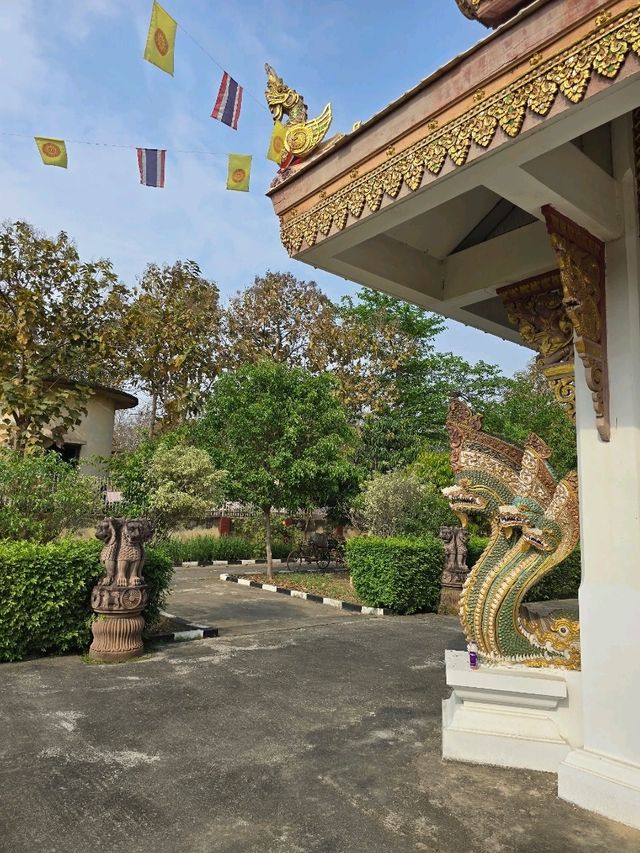 วัดป่าพุทธคยา Watpa India 