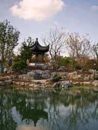 Binjiang Forest Park – Phase II: A Tranquil Escape in Shanghai’s North