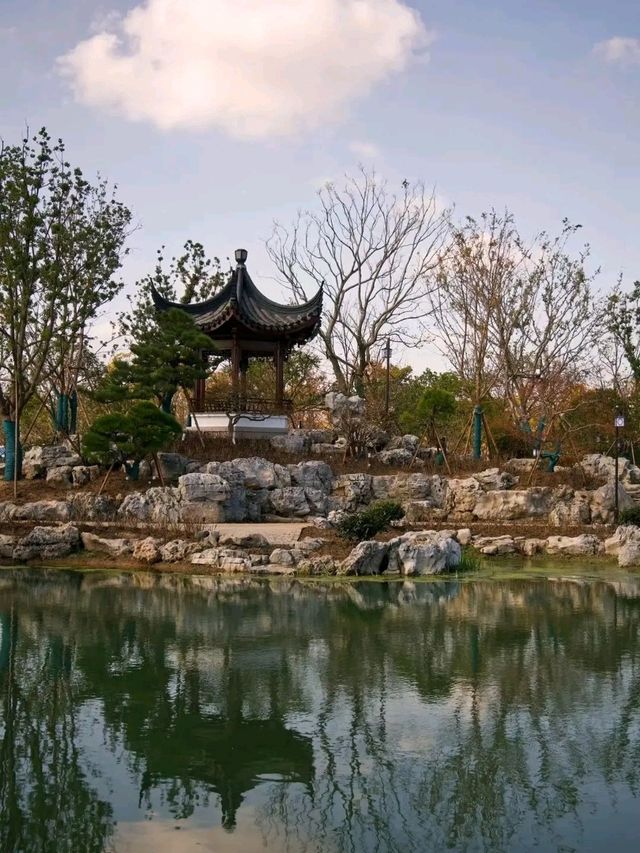 Binjiang Forest Park – Phase II: A Tranquil Escape in Shanghai’s North