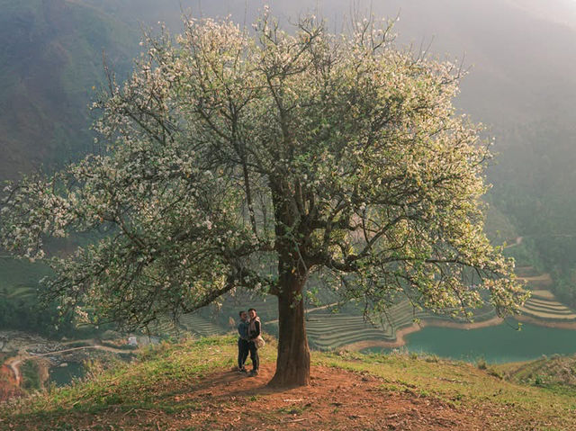 Sơn La
