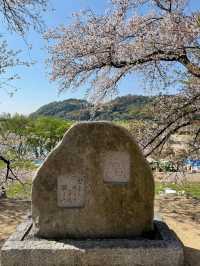 Blossoms & a Hidden Escape