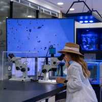 ศูนย์การเรียนรู้ทางทะเล Marine Biological Center
