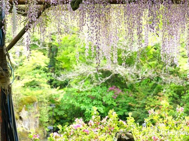 【佐賀県】佐賀県屈指の国指定名勝「御船山楽園」