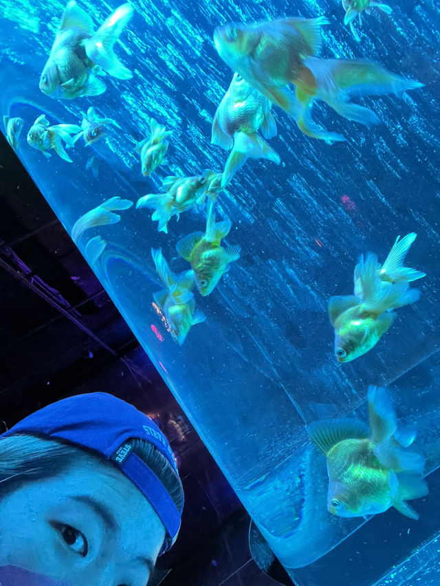 【銀座的夢幻秘境！藝術與水族的奇幻融合體驗🐠✨】