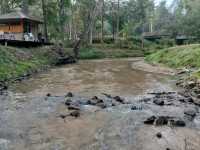 อุทยานแห่งชาติขุนขาน