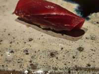 New Age of Sushi Omakase