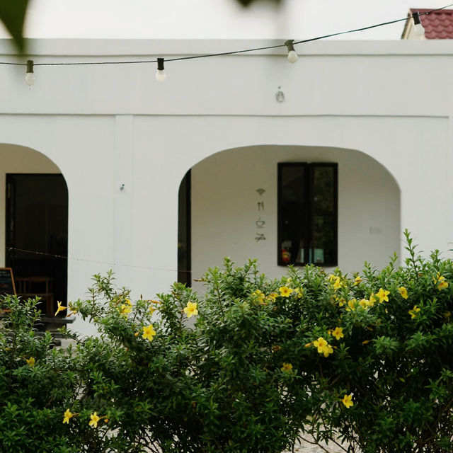 Where Tradition Meets Innovation