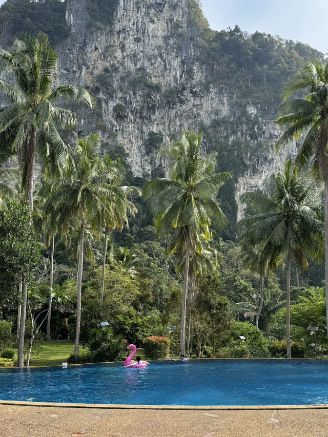 크라비 최고의 수영장🌴😍