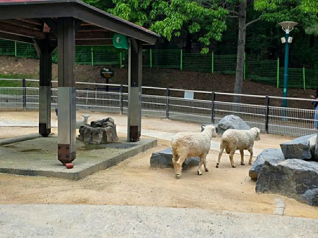 Ulsan Grand Park: South Korea’s Largest Urban Oasis