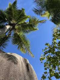 🚲 🌊 La Digue Scenic Bike Road Trip
