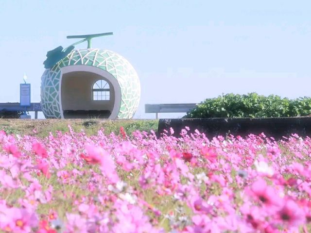Title: Nagasaki – A City of History, Healing, and Harmony