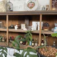 Mother Café ศรีราชา – ไอศกรีมเจลาโต้โฮมเมด