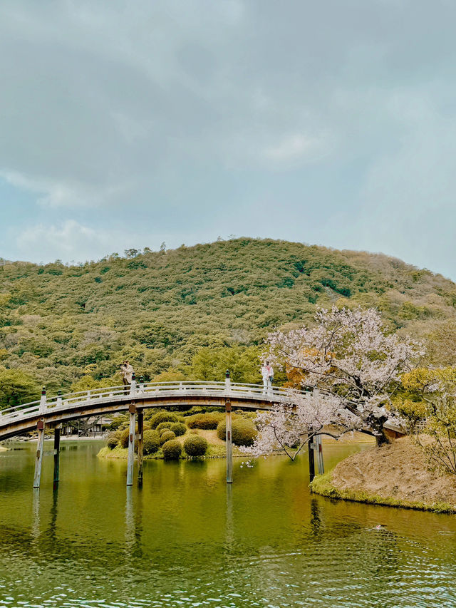 일본에서 자연을 느끼고 싶을 때 추천하는 도시🌳