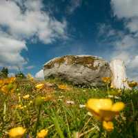 Cavan Burren Park – Ireland’s Ancient Landscape of Mystery and Beauty