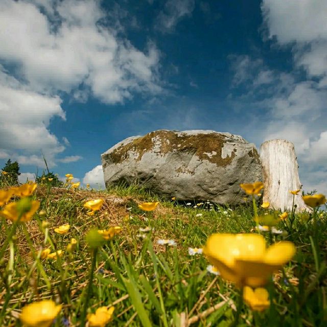 Cavan Burren Park – Ireland’s Ancient Landscape of Mystery and Beauty