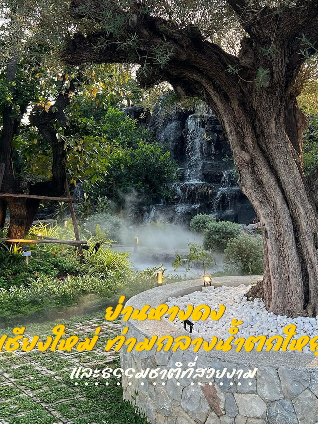 The Hill Chiangmai คาเฟ่เปิดใหม่ใจกลางหุบเขา🍃 