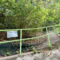 ​​前深水埗主教山配水庫：市區地下羅馬秘境 🏛️