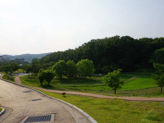 무령왕릉 옆 숨은 산책 명소, 코스모스 가득한 힐링 길🌼