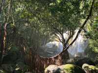 🌿Kuching • Half-Day Trek to "Jurassic Park" Waterfalls