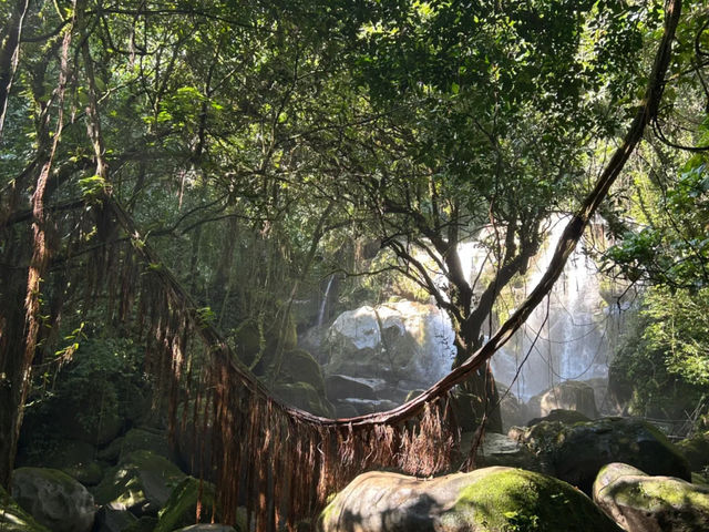 🌿Kuching • Half-Day Trek to "Jurassic Park" Waterfalls