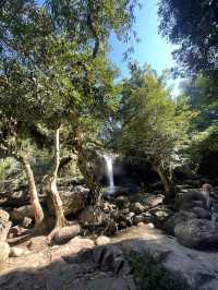 KHAO YAI national park 