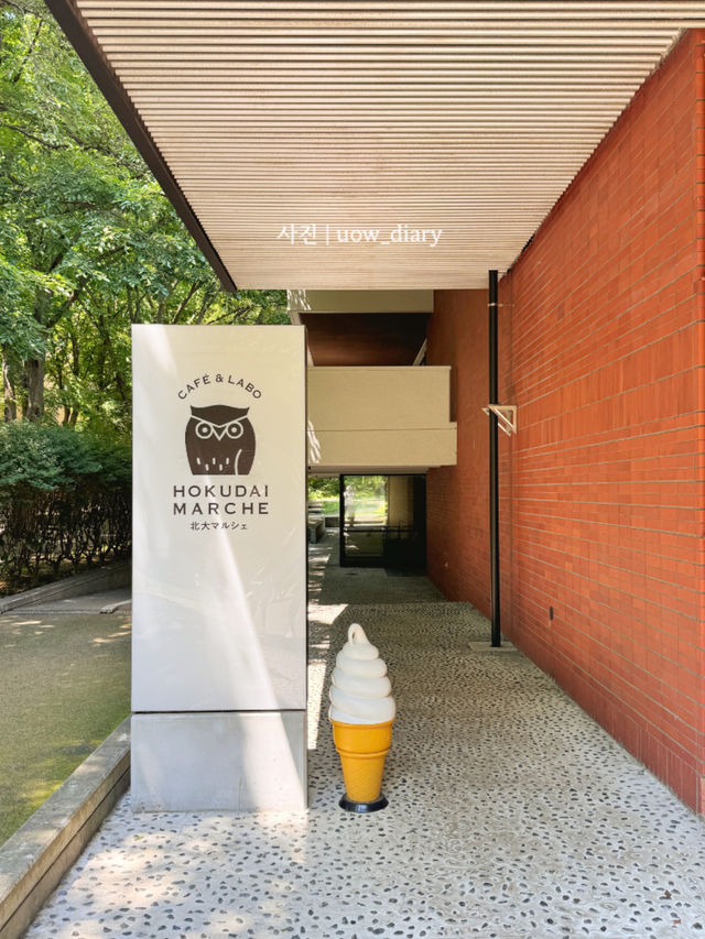  🇯🇵 여름 삿포로 여행에서 만난 힐링 스팟 🌿