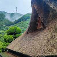 A Perfect Day at Sawanoi Sake Brewery - an escape from Tokyo hustle and bustle 