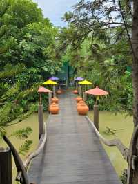 Omega Forest ร้านในป่า ร่มรื่น อาหารอร่อย