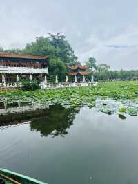🌸 A Bloom-Filled Getaway to China’s Eternal Spring City🌸